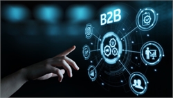Are you a B2B Company?